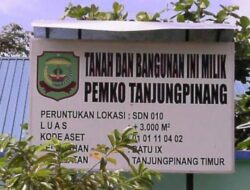 Masalah Pungutan Perpisahan di SD 010 Tanjungpinang Timur, Komite Sekolah: Itu Tidak Benar