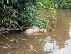 Breaking News!! Warga Temukan Mayat Mengapung di Sungai Muara Delang